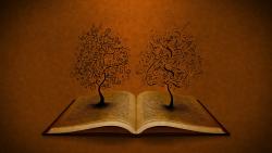 HD обои Деревья ростущие из древней книги
