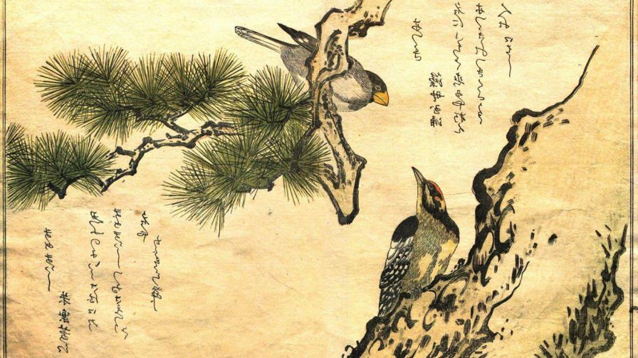 HD обои рисованные птицы на холсте