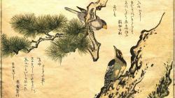 HD обои рисованные птицы на холсте