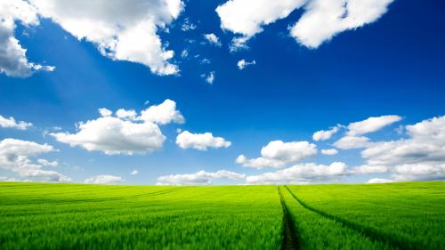 Nature green grass traces wallpapers high resolution