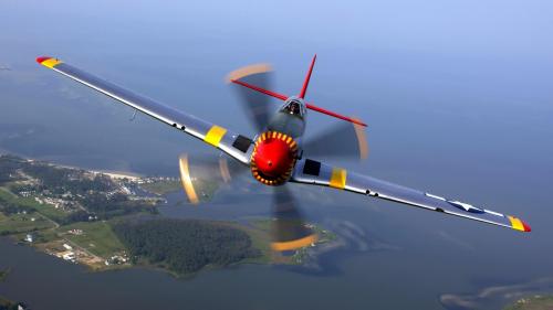 P-51 Mustang Flight