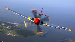 P-51 Mustang Flight